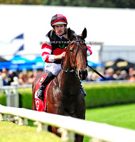 MISSROCK Percy Sykes Stakes